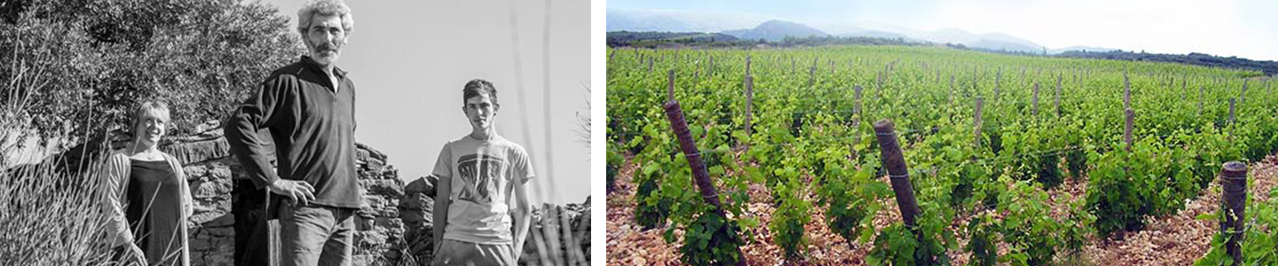 Ancely wijnen Languedoc Minervois Frankrijk