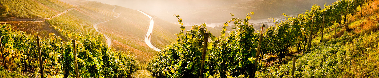 Heribert Boch terroir Mosel Moezel