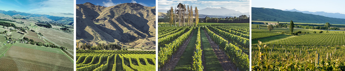Catalina Sounds Wines wijnen Nieuw-Zeeland terroir