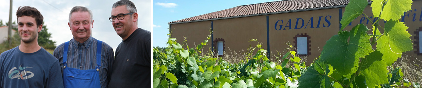 Domaine Gadais Père et Fils Franse Loire wijnen Filosofie Muscadet sur Lie Melon de Bourgogne