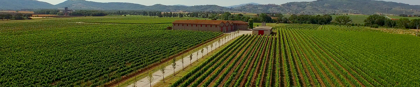 Lamborghini terroir wijn Italië wijnboxen