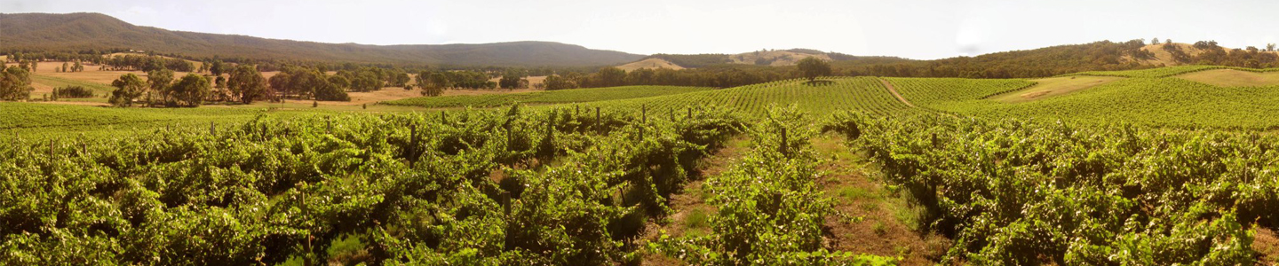 terroir Pyren Australische wijn