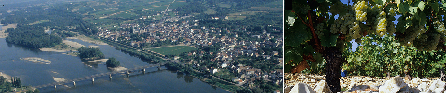 Domaine Seguin Terroir