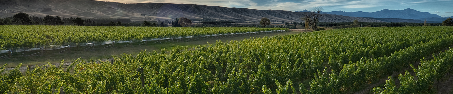 Totara Wine wijn Nieuw-Zeeland terroir