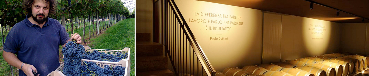 Paolo Cottini Philosophy