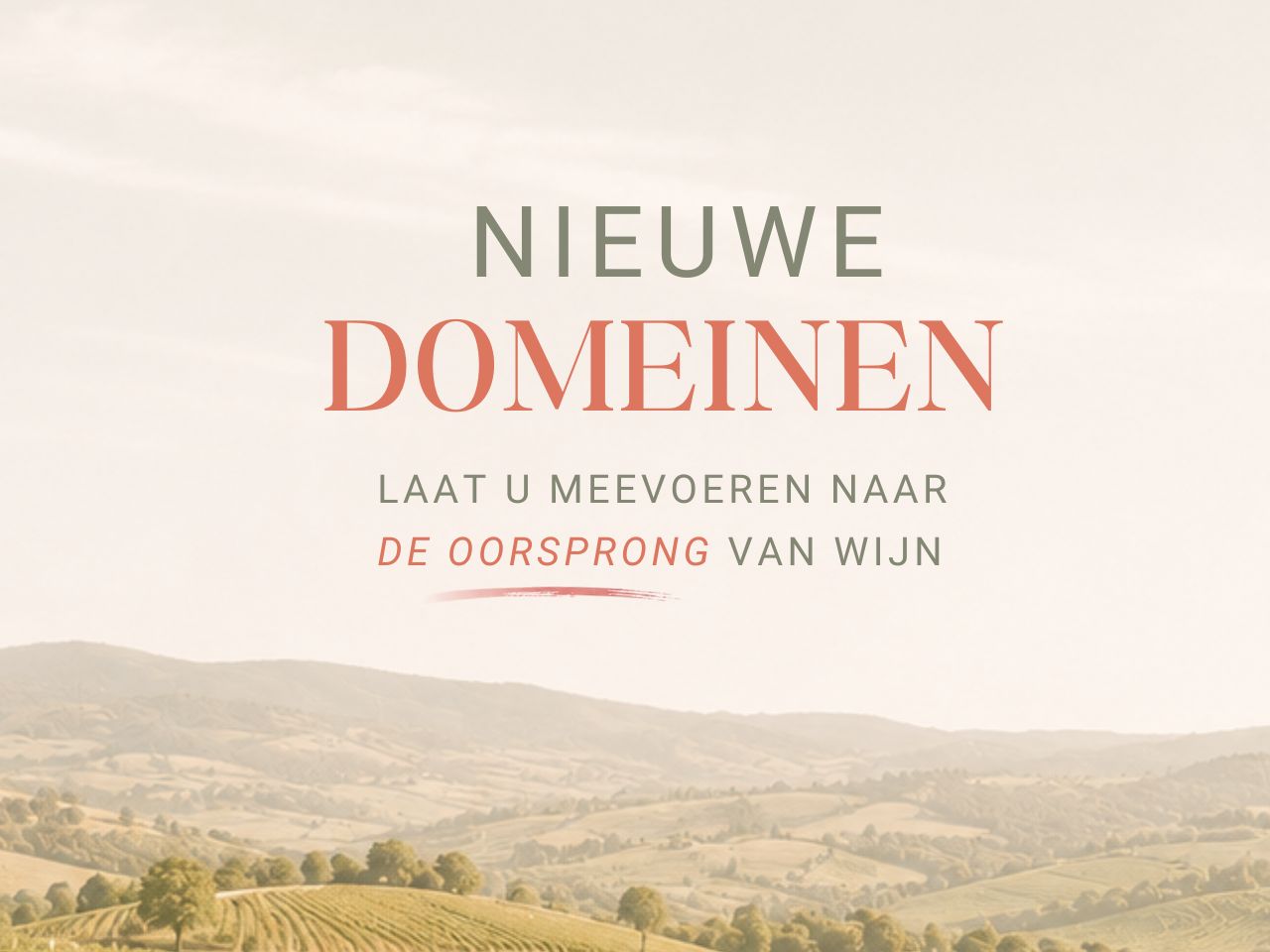 levering aan huis thuislevering
