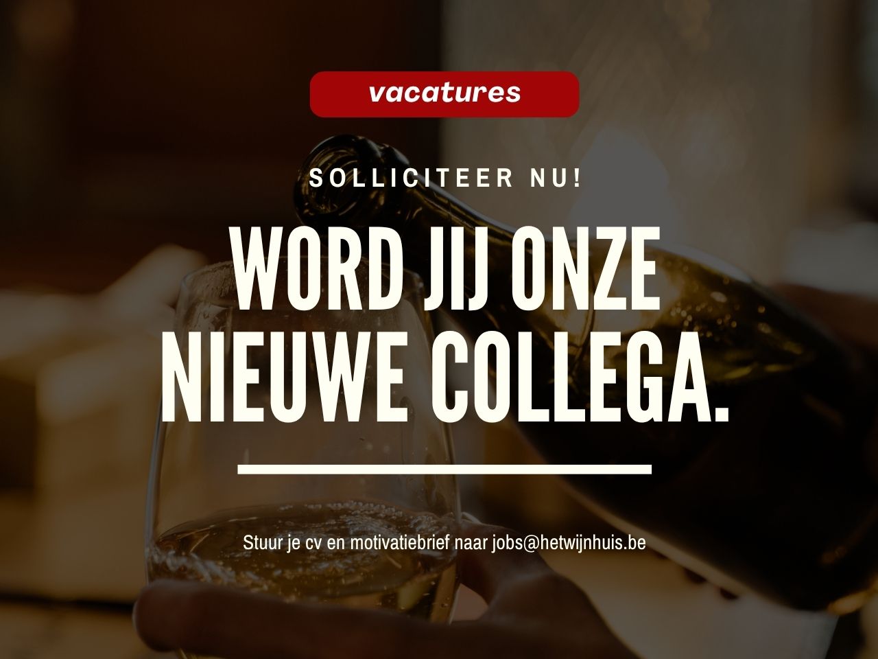 meer dan 1000 lekkere wijnen 