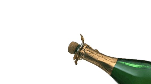 openflesdagen feestdagen
