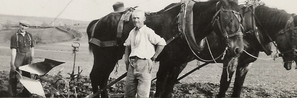 Oude zwart-wit foto van wijngaard bewerken van Domaine du Bicheron