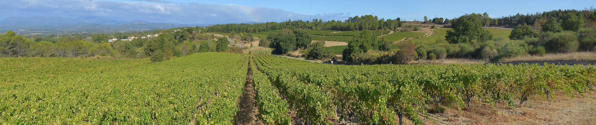 Wijntonnen van Domaine Grand-Chemin
