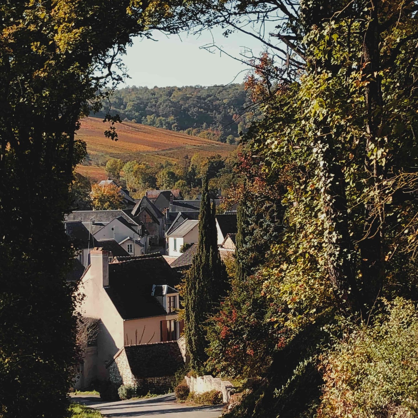 Stadje nabij Domaine Paul Thomas