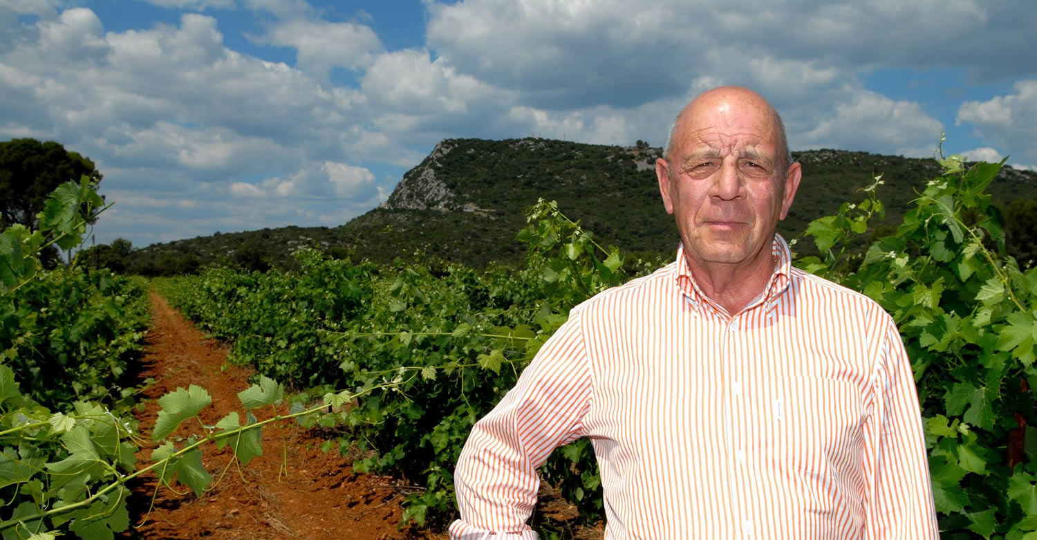 Man in wijngaard van Tiberius