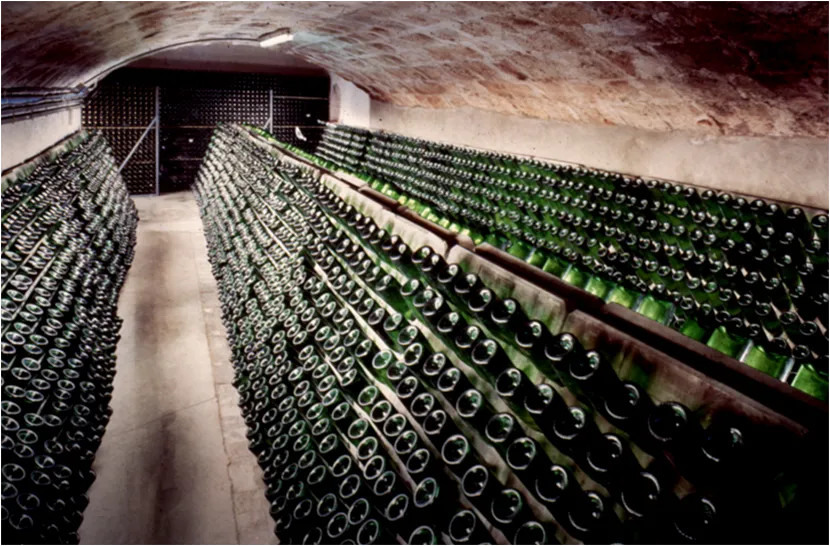 Stockage flessen wijnkelder van Cava Ludens