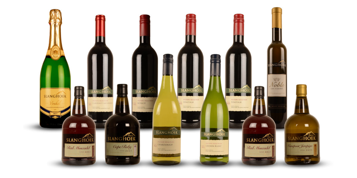 Wijnen van Slanghoek Cellar