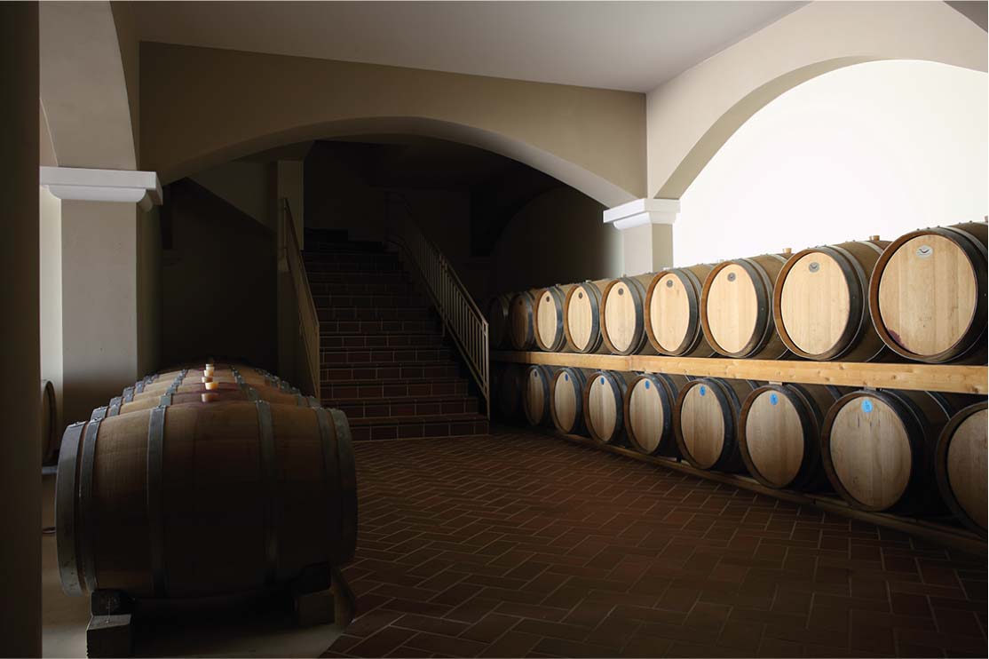 Wijnkelder met wijntonnen van Tenute Lombardo