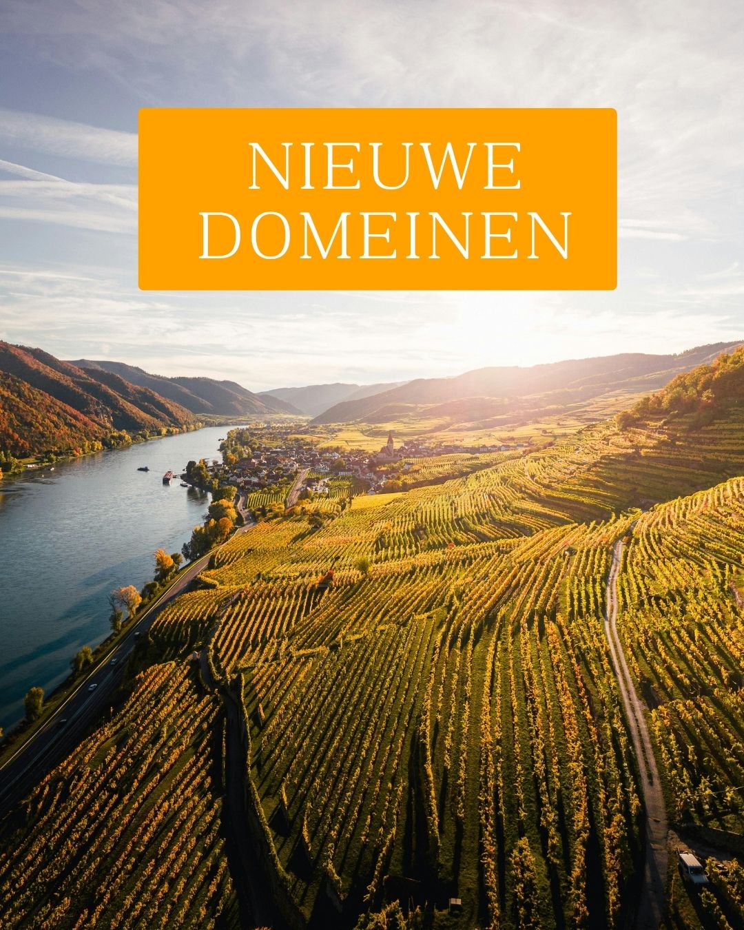 Economische begeleiding