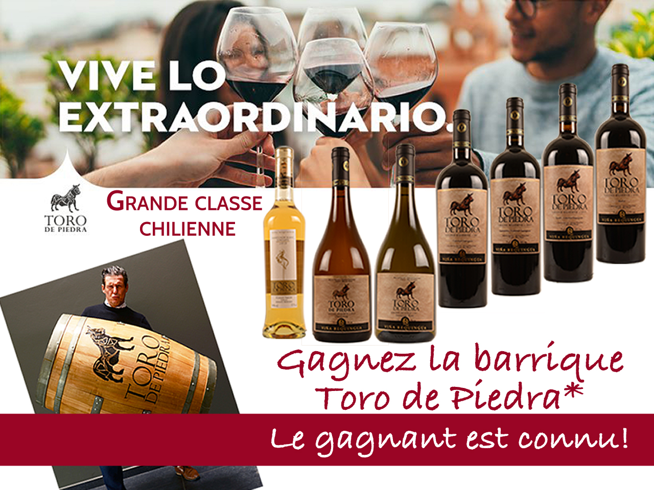 Toro de piedra promo 5+1 offerte gratuite vins Chile